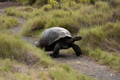 073--Top 2011--18. April 2011_small